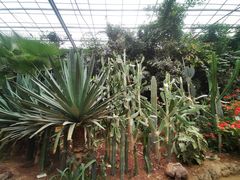 -呀路古热带植物园