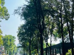 -四川大学(望江校区)