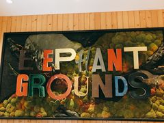 -Elephant Grounds(STARSTREET)