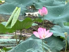 -东钱湖旅游度假区