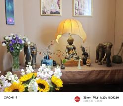 点击看大图 -iSpa