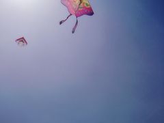 iphone_upload_pic-蠡湖大桥公园
