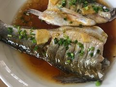 -大莲湖农家乐(青西郊野公园店)