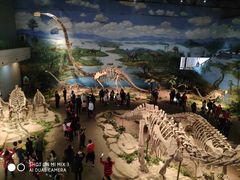 -自贡恐龙博物馆