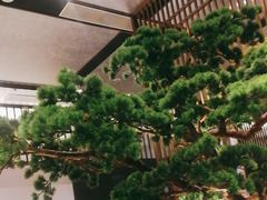 -聆桂烤鸭·金奖烤鸭(静联广场店)