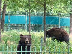 -秦皇岛野生动物园