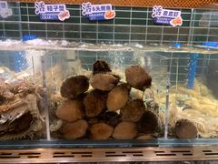 -苏宁广场·城市奥特莱斯(天府立交店)