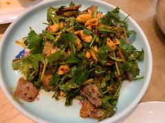 香菜拌牛肉-深巷家味馆.湖北头牌红烧鱼头拌饭(黄陂店)