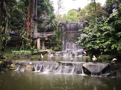 -吉隆坡雀鸟公园