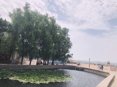 -青岛第二海水浴场