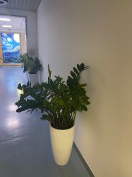 -丰联丽格医疗美容·联合丽格眼整形中心