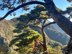 -大连天门山国家森林公园