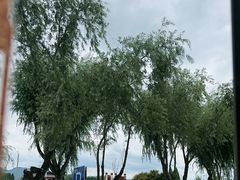 -怡得观滇餐厅·地道昆明菜·1996(海埂大坝店)
