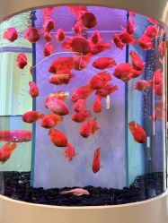 -新蝶变皮肤管理中心