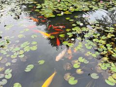 -白马涧龙池景区