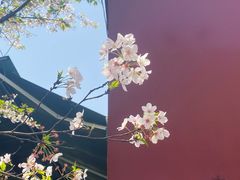 -新天地活力PARK