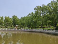 -莲花池公园