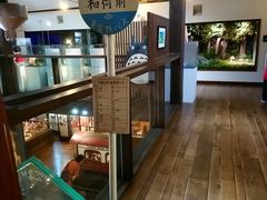 -伊豆泰迪熊博物馆