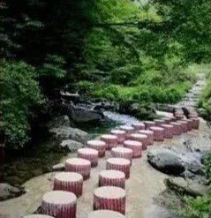 -黑河国家森林公园