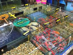 -明记海鲜大排档(巽寮湾店)