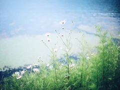 -丽江泸沽湖景区-里格半岛