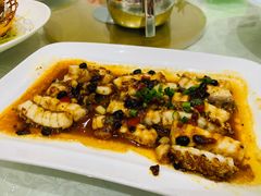 -港升鱼师傅·中山脆肉鲩