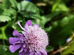 -白草畔自然风景区