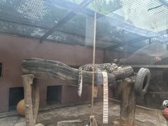 -青藏高原野生动物园