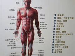 -通透堂中医·精准推拿(旗舰店)