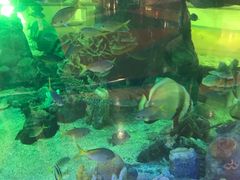 -尚泰清迈机场购物中心