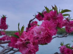 -颐和园