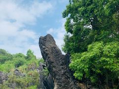 -玉石林风景区