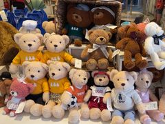 -成都泰迪熊博物馆