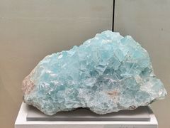 -天津自然博物馆