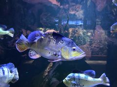 -华夏文旅海洋公园