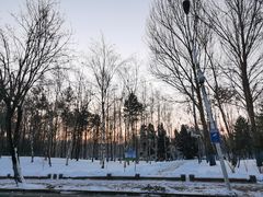 -黛秀湖公园