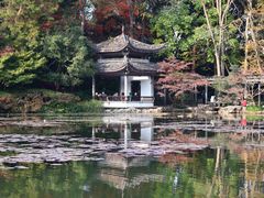 -杭州植物园