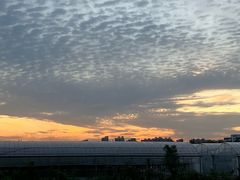 -暮谷MUGO ·团建聚会·露营烧烤·生日派对·共享菜地