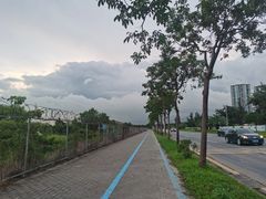 -宝安西湾红树林湿地公园