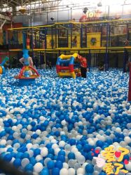 -爱丽丝奇幻乐园