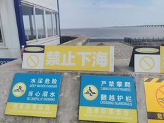 -南汇新城海滩