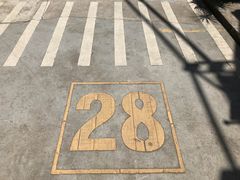 -T28PARK公园里