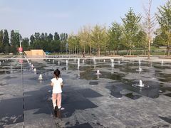 -廊坊固安福朋喜来登酒店
