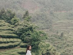 -狮子关旅游区