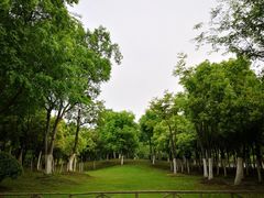 -滨湖塘西河公园