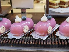 红豆芝士-新发展亚太JW万豪酒店·福苑咖啡厅