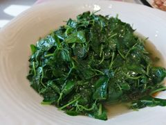 -复旦大学本部-食堂