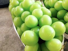 -马陆小张葡萄园农家乐