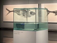 -江苏省美术馆(长江路新馆)