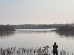 -丁香湖公园